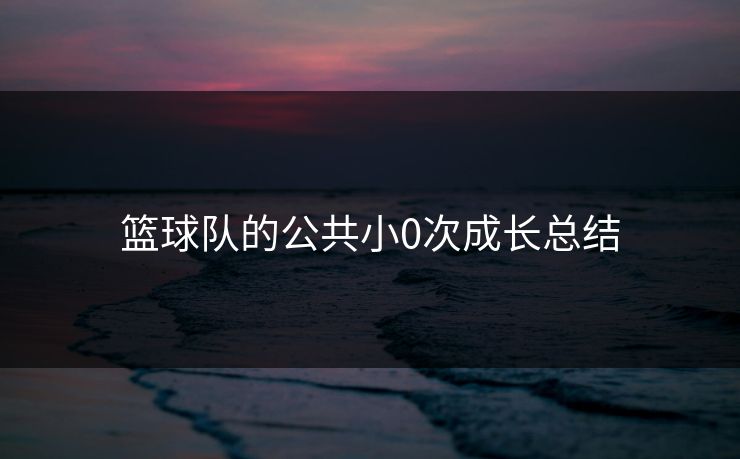 篮球队的公共小0次成长总结
