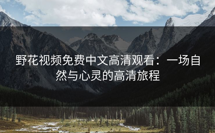 野花视频免费中文高清观看：一场自然与心灵的高清旅程