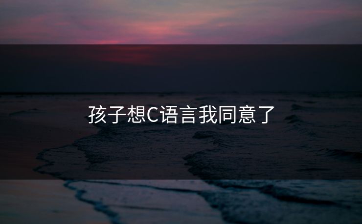 孩子想C语言我同意了